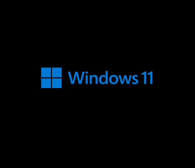 Windows 11 Pro OEM licenese 1 year