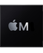 M1 Chip